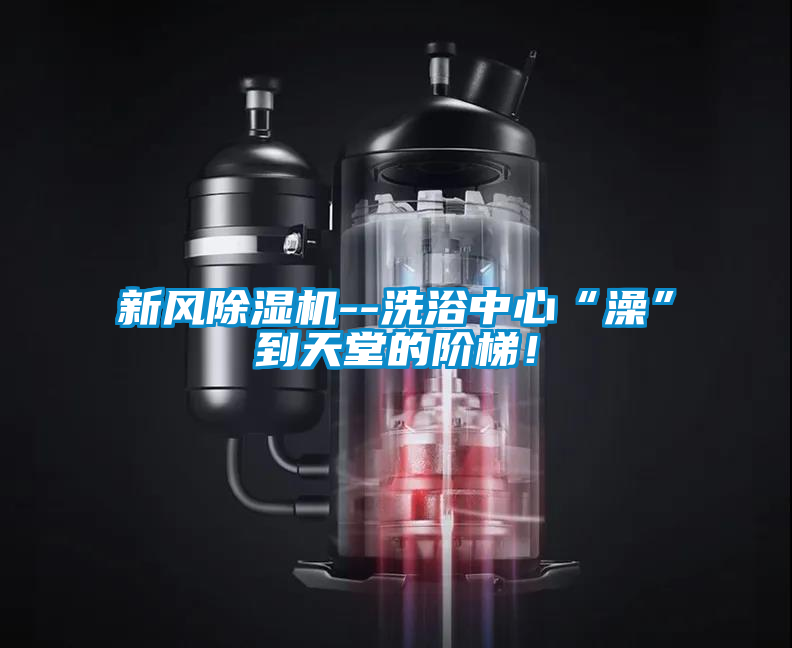 新风蜜柚直播APP正版下载--洗浴中心“澡”到天堂的阶梯！