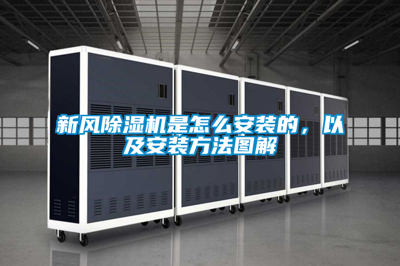 新风蜜柚直播APP正版下载是怎么安装的，以及安装方法图解