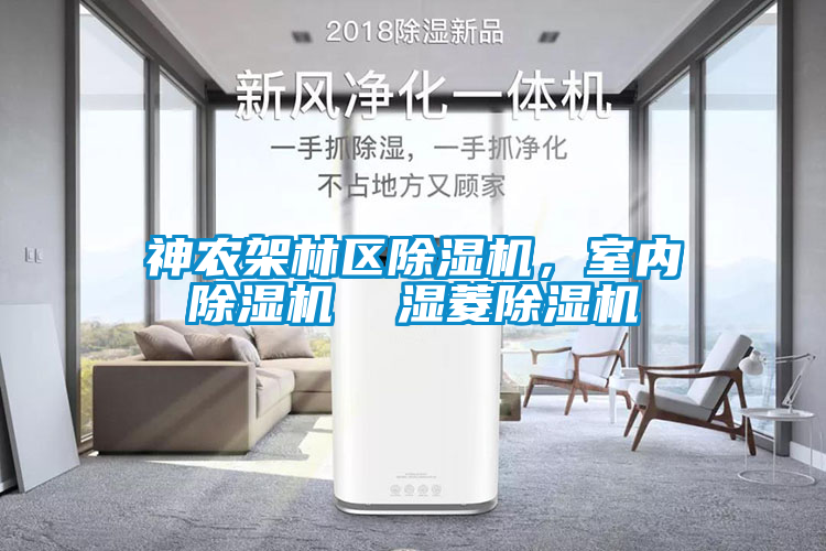 神农架林区蜜柚直播APP正版下载，室内蜜柚直播APP正版下载  湿菱蜜柚直播APP正版下载