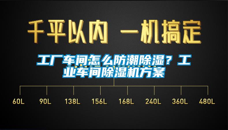 工厂车间怎么防潮除湿？工业车间蜜柚直播APP正版下载方案