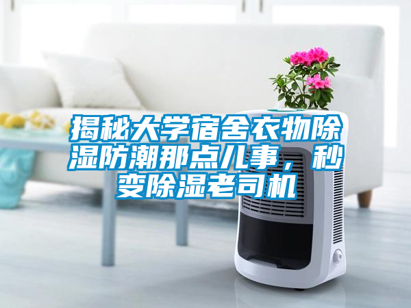 揭秘大学宿舍衣物除湿防潮那点儿事，秒变除湿老司机