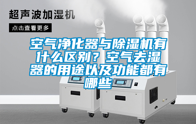 空气净化器与蜜柚直播APP正版下载有什么区别？空气去湿器的用途以及功能都有哪些