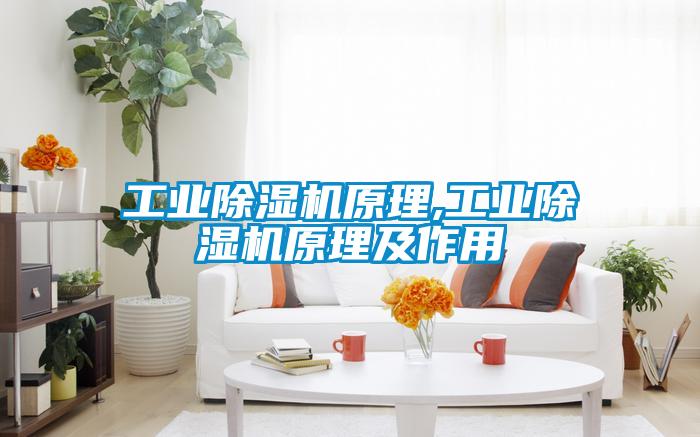 工业蜜柚直播APP正版下载原理,工业蜜柚直播APP正版下载原理及作用