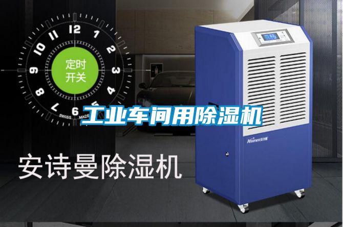 工业车间用蜜柚直播APP正版下载