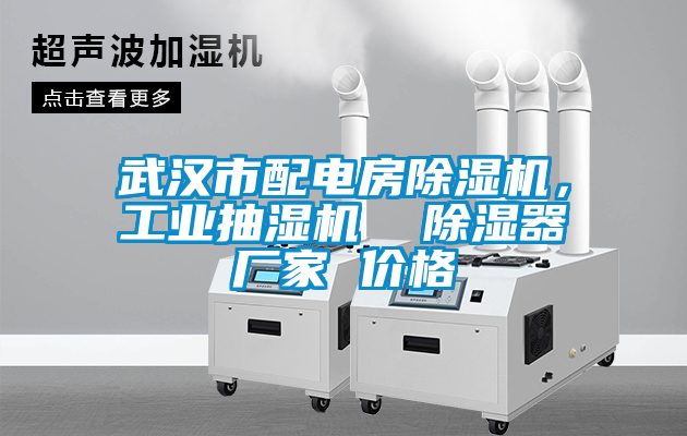 武汉市配电房蜜柚直播APP正版下载，工业抽湿机  除湿器厂家 价格