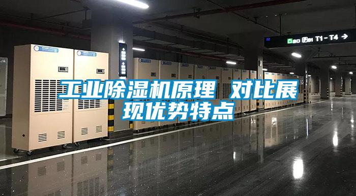 工业蜜柚直播APP正版下载原理 对比展现优势特点