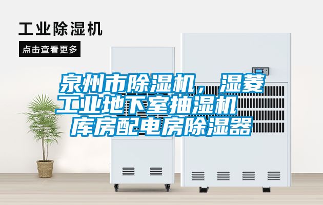 泉州市蜜柚直播APP正版下载，湿菱工业地下室抽湿机  库房配电房除湿器