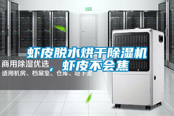虾皮脱水烘干蜜柚直播APP正版下载，虾皮不会焦
