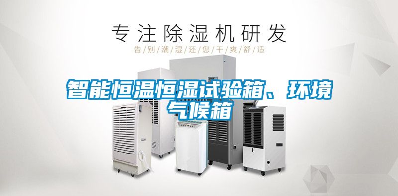 智能恒温恒湿试验箱、环境气候箱