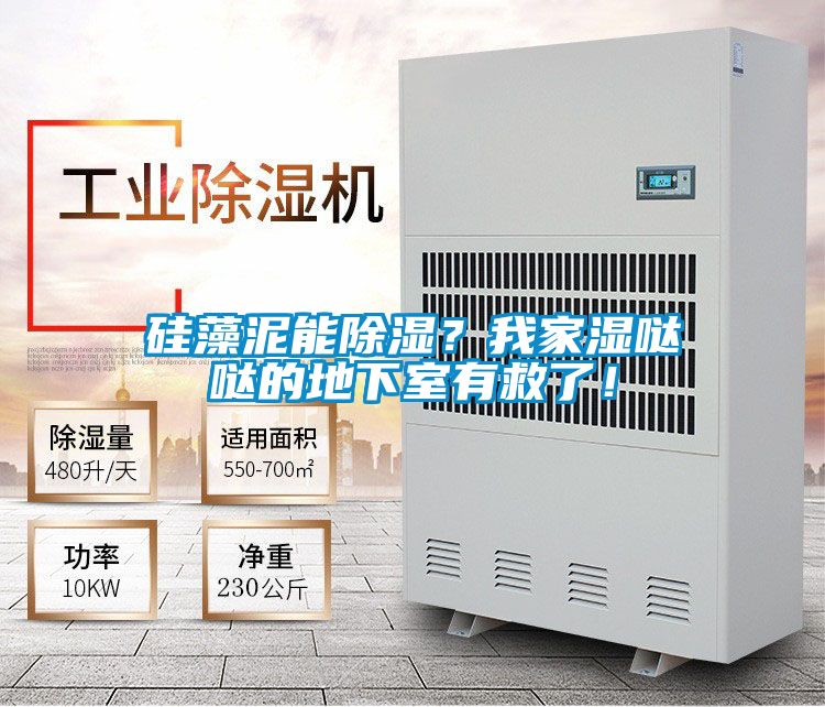 硅藻泥能除湿？我家湿哒哒的地下室有救了！