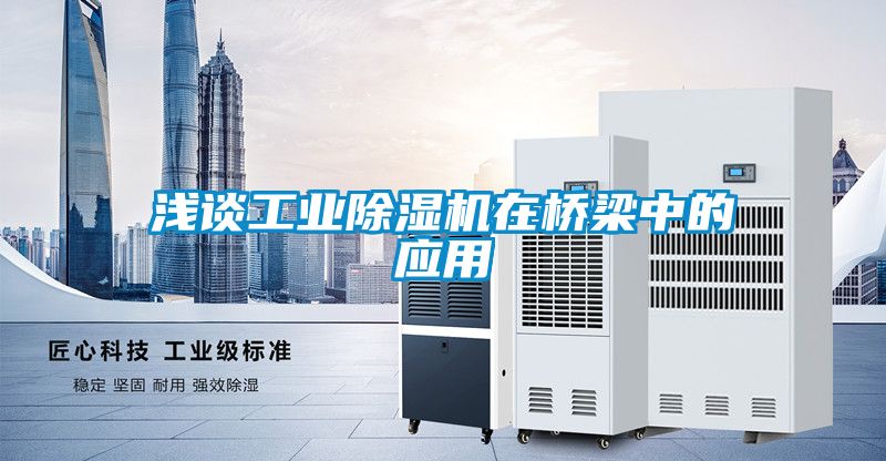 浅谈工业蜜柚直播APP正版下载在桥梁中的应用