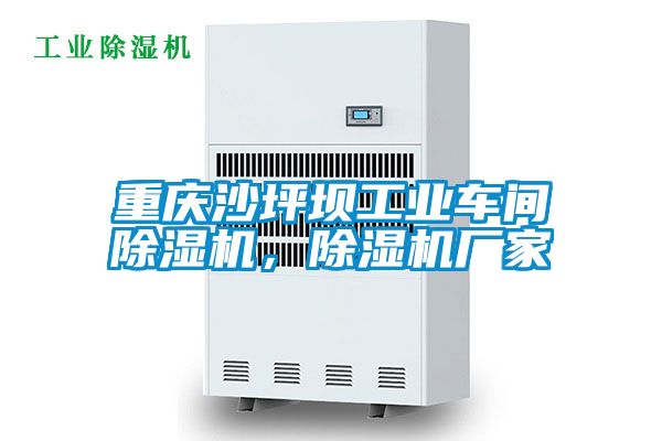 重庆沙坪坝工业车间蜜柚直播APP正版下载，蜜柚直播APP正版下载厂家