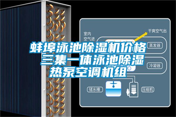 蚌埠泳池蜜柚直播APP正版下载价格 三集一体泳池除湿热泵空调机组