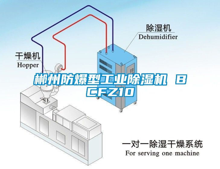 郴州防爆型工业蜜柚直播APP正版下载 BCFZ10