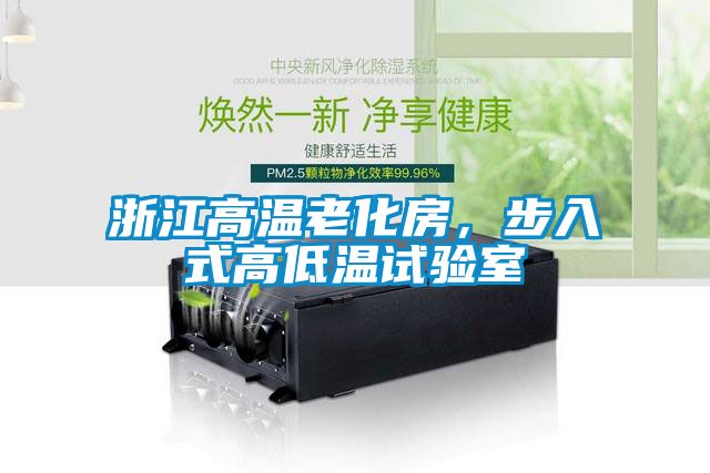 浙江高温老化房，步入式高低温试验室