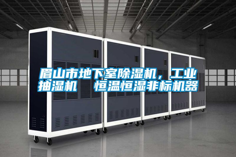 眉山市地下室蜜柚直播APP正版下载，工业抽湿机  恒温恒湿非标机器