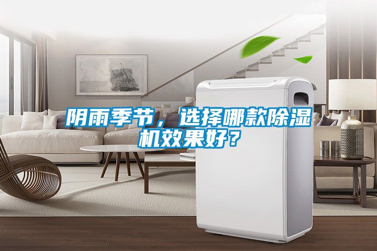 阴雨季节，选择哪款蜜柚直播APP正版下载效果好？