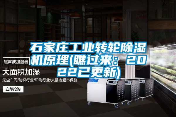 石家庄工业转轮蜜柚直播APP正版下载原理(瞧过来：2022已更新)