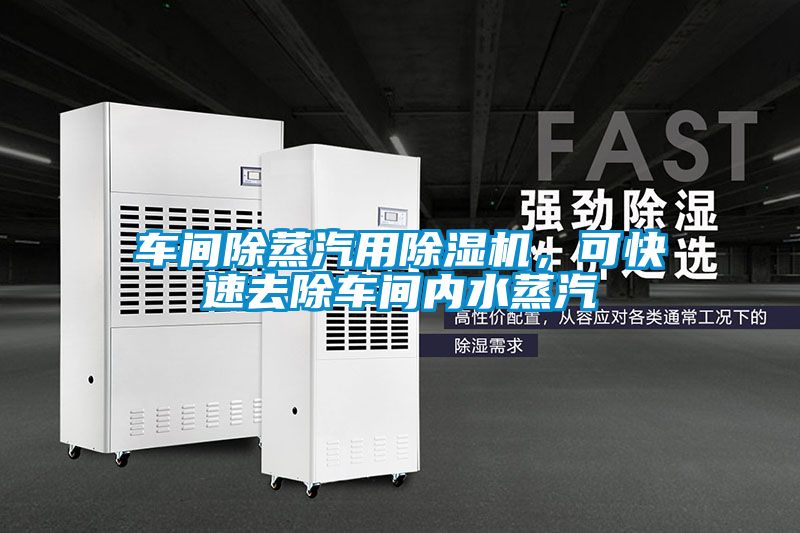 车间除蒸汽用蜜柚直播APP正版下载，可快速去除车间内水蒸汽