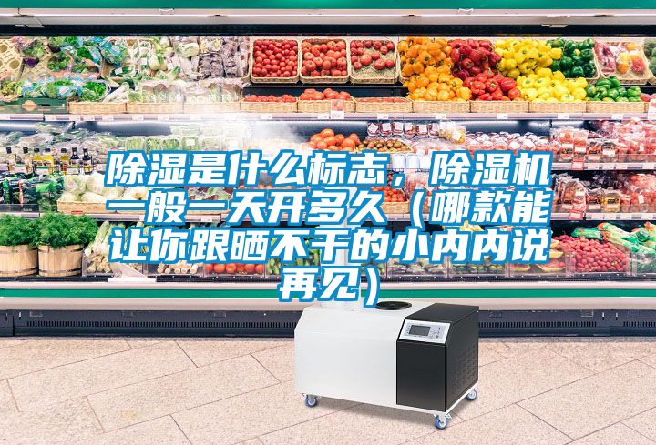 除湿是什么标志，蜜柚直播APP正版下载一般一天开多久（哪款能让你跟晒不干的小内内说再见）