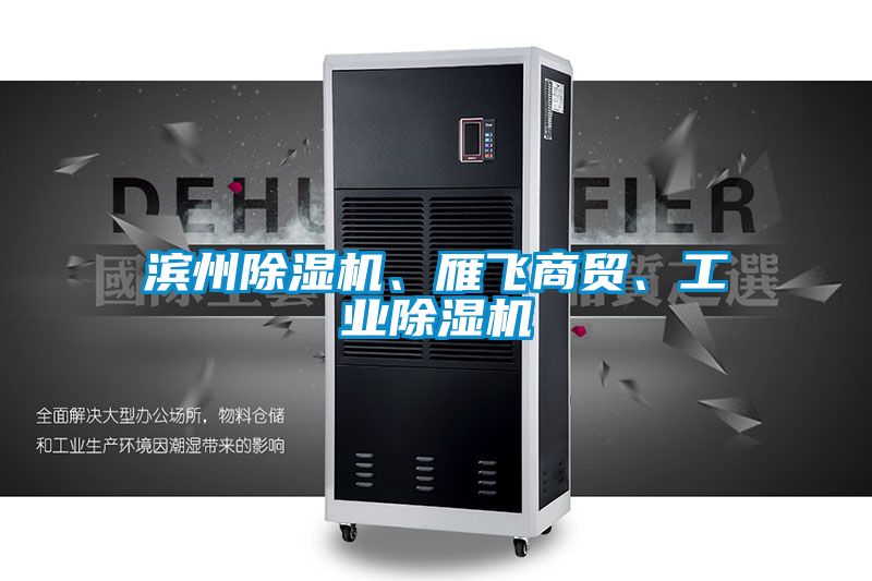 滨州蜜柚直播APP正版下载、雁飞商贸、工业蜜柚直播APP正版下载