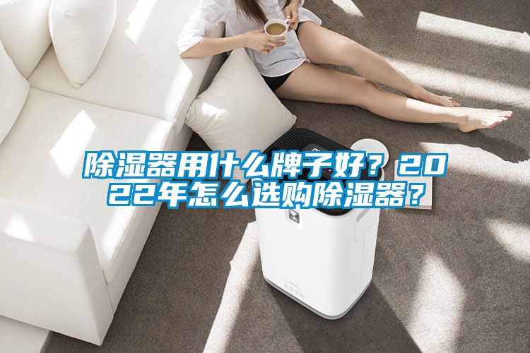 除湿器用什么牌子好？2022年怎么选购除湿器？
