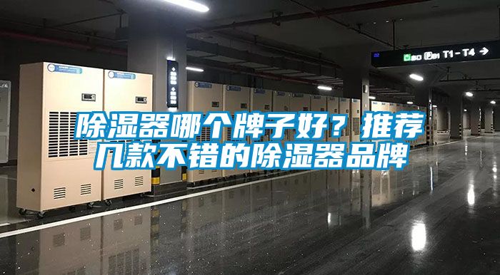 除湿器哪个牌子好？推荐几款不错的除湿器品牌