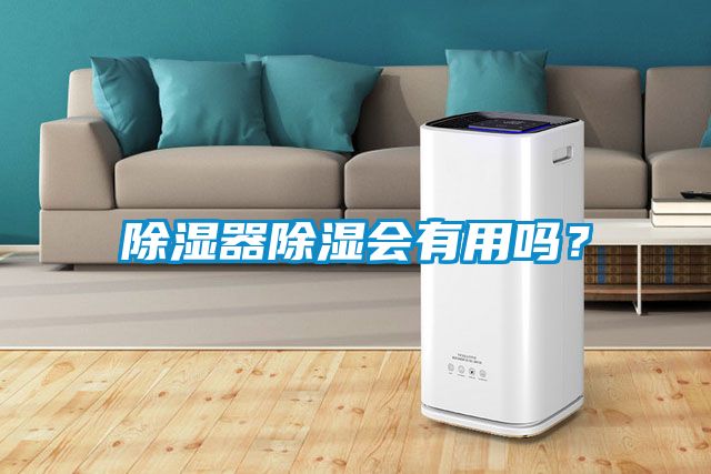 除湿器除湿会有用吗？