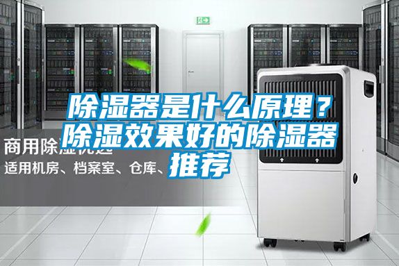 除湿器是什么原理？除湿效果好的除湿器推荐
