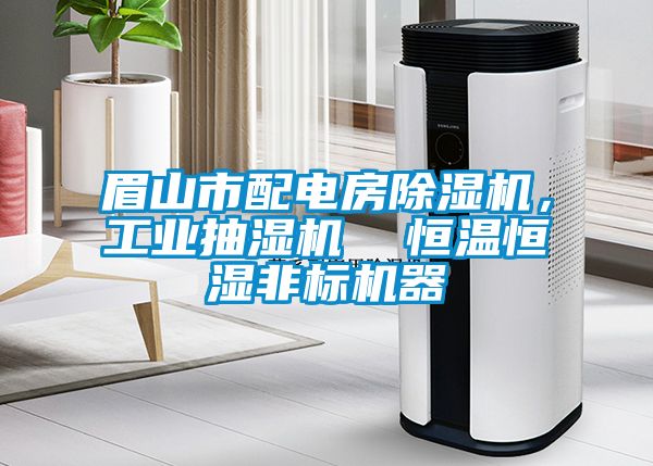眉山市配电房蜜柚直播APP正版下载，工业抽湿机  恒温恒湿非标机器