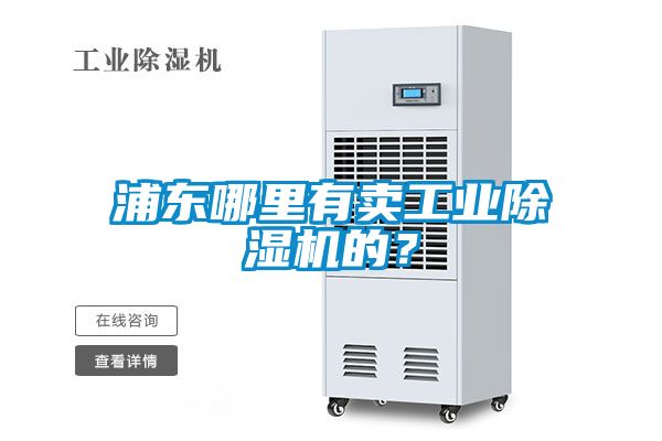 浦东哪里有卖工业蜜柚直播APP正版下载的？
