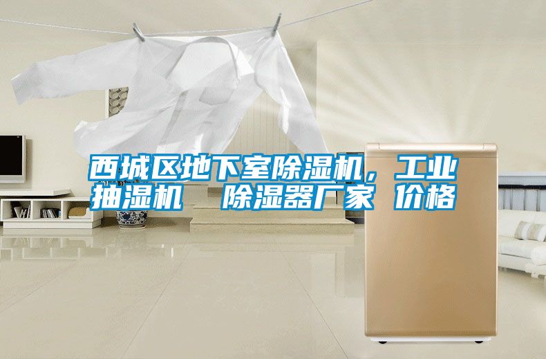 西城区地下室蜜柚直播APP正版下载，工业抽湿机  除湿器厂家 价格