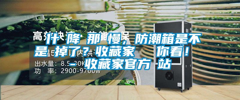 為什麼降濕那麼慢，防潮箱是不是壞掉了？收藏家實測給你看！ - 收藏家官方網站