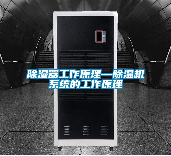 除湿器工作原理—蜜柚直播APP正版下载系统的工作原理