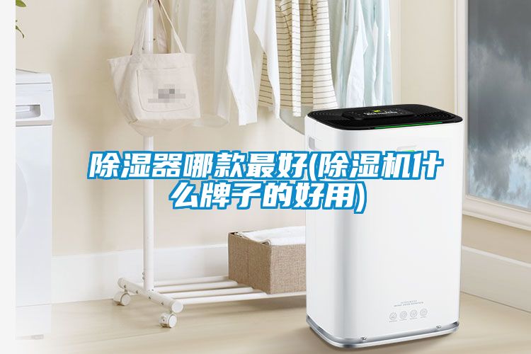 除湿器哪款最好(蜜柚直播APP正版下载什么牌子的好用)