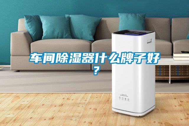 车间除湿器什么牌子好？