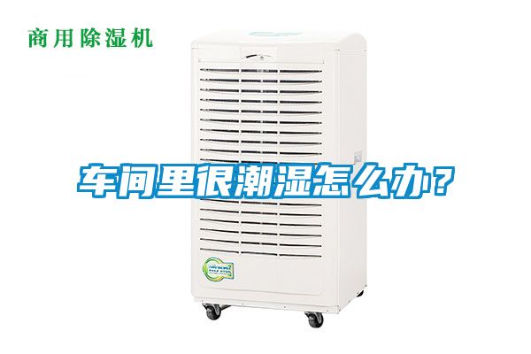 车间里很潮湿怎么办？