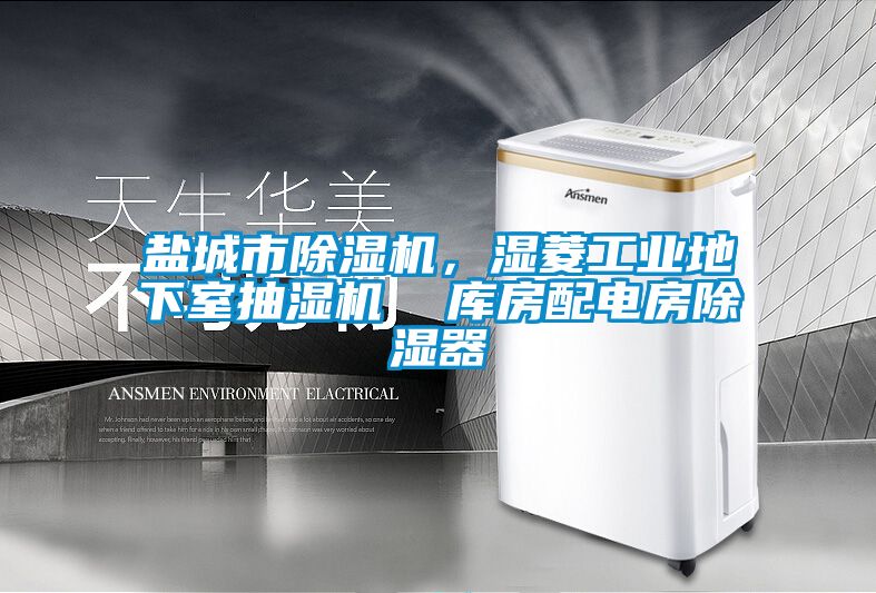 盐城市蜜柚直播APP正版下载，湿菱工业地下室抽湿机  库房配电房除湿器