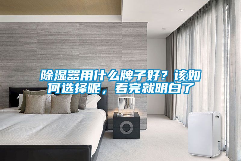 除湿器用什么牌子好？该如何选择呢，看完就明白了