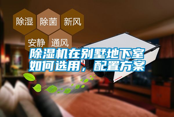 蜜柚直播APP正版下载在别墅地下室如何选用，配置方案