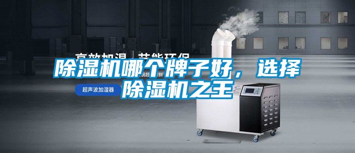 蜜柚直播APP正版下载哪个牌子好，选择蜜柚直播APP正版下载之王