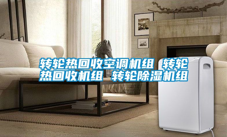 转轮热回收空调机组 转轮热回收机组 转轮蜜柚直播APP正版下载组