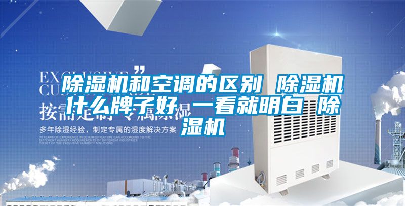 蜜柚直播APP正版下载和空调的区别 蜜柚直播APP正版下载什么牌子好 一看就明白 蜜柚直播APP正版下载