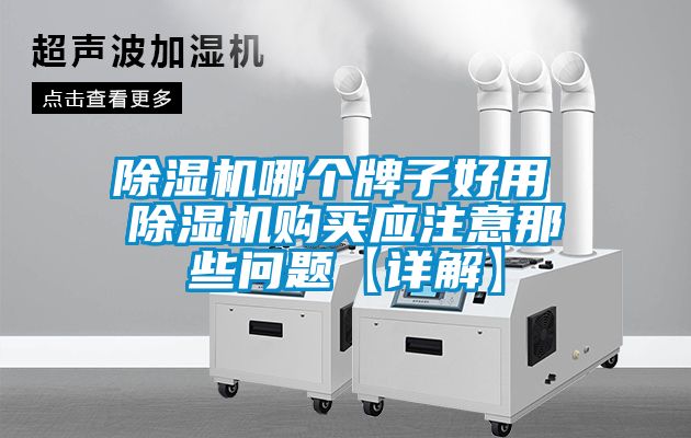 蜜柚直播APP正版下载哪个牌子好用 蜜柚直播APP正版下载购买应注意那些问题【详解】