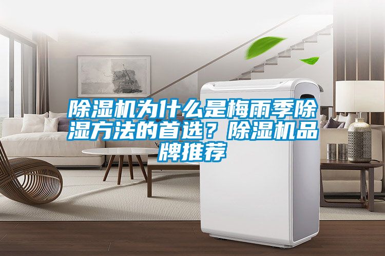 蜜柚直播APP正版下载为什么是梅雨季除湿方法的首选？蜜柚直播APP正版下载品牌推荐