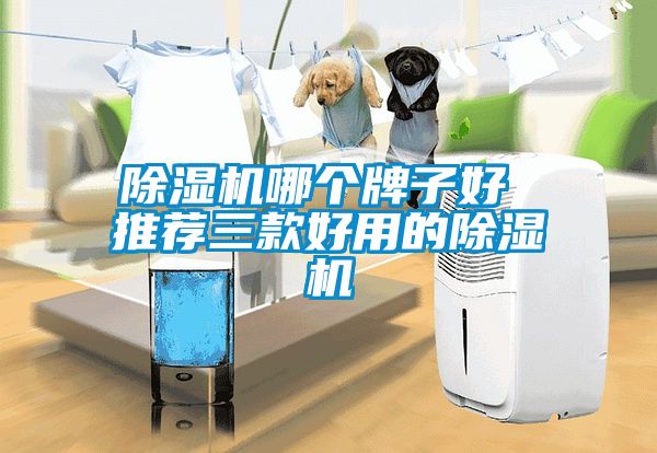 蜜柚直播APP正版下载哪个牌子好 推荐三款好用的蜜柚直播APP正版下载