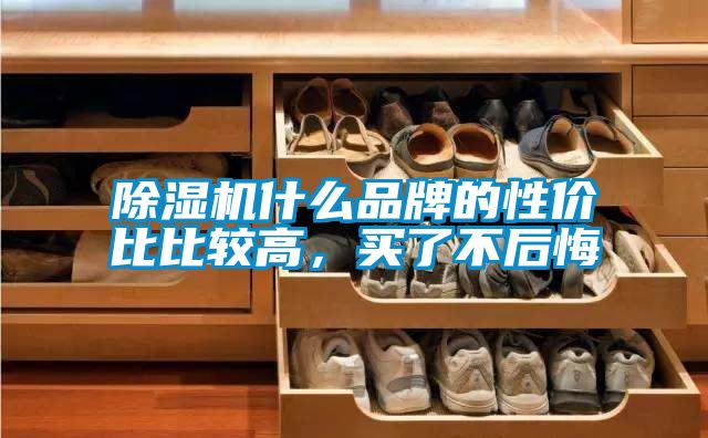 蜜柚直播APP正版下载什么品牌的性价比比较高，买了不后悔