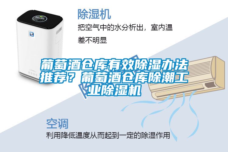 葡萄酒仓库有效除湿办法推荐？葡萄酒仓库除潮工业蜜柚直播APP正版下载