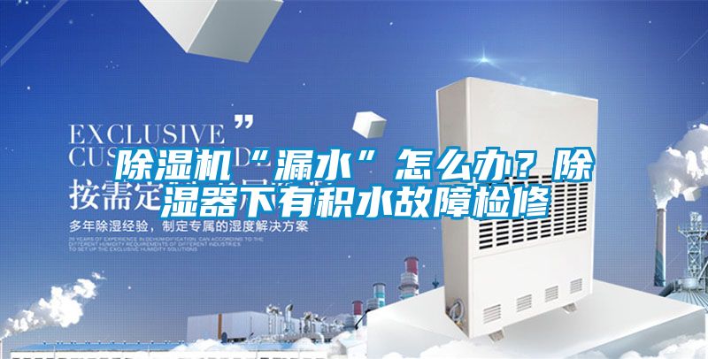 蜜柚直播APP正版下载“漏水”怎么办？除湿器下有积水故障检修