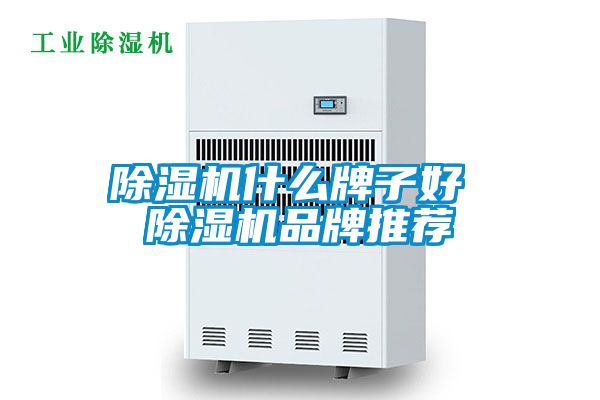 蜜柚直播APP正版下载什么牌子好 蜜柚直播APP正版下载品牌推荐